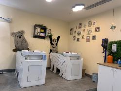 -马克叔叔儿童理发形象设计