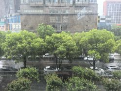 -安琪朵朵独栋花园月子中心