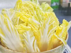 娃娃菜-顺德哥卜卜贝(旗舰店)