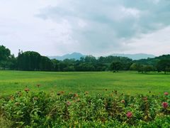 -福建鲤鱼洲酒店