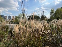 -世纪公园-世纪春沁园