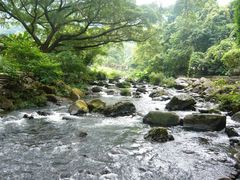 -广州市石门国家森林公园