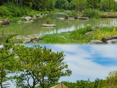 -上海辰山植物园