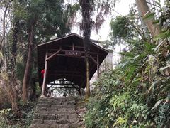 -山沟沟景区