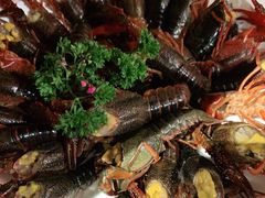 -佬土鹅肠火锅(扬中步行街店)