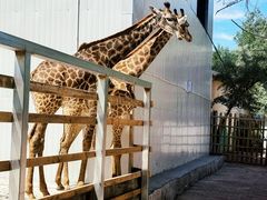 -水上乐园·欢乐世界