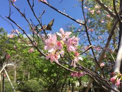 -广东工业大学(大学城校区)