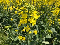 -中国天府农业博览园