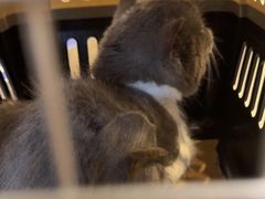 -宠颐生汉谟拉比宠物医院