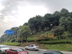 -铁山坪森林公园