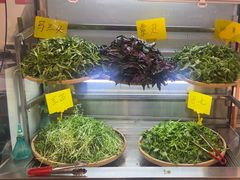 -王奋斗贵州酸汤牛肉火锅