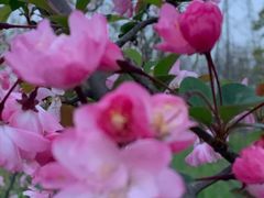 -外高桥保税区南(地铁站)