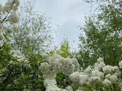 -大龙山(地铁站)