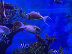 -多彩贵州城极地海洋世界