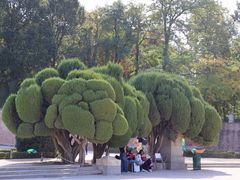 -丽池公园