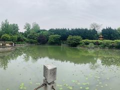 -嘉定紫藤园