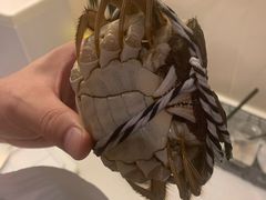 -乡乐园蟹庄·阳澄湖农家乐