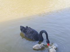 -宁波杭州湾国家湿地公园