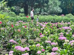 -秦皇岛野生动物园