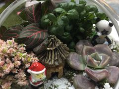 -清岚画室少儿美术培训(平江校区)