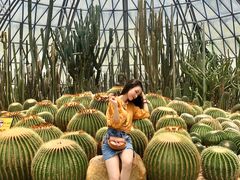 -深圳仙湖植物园-停车场