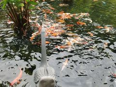 -鹅公村·国家非遗传承(荔湾店)