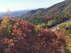 -北京西山国家森林公园