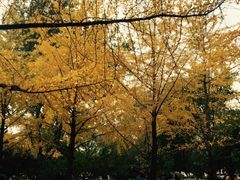 -辽宁大学(崇山校区)