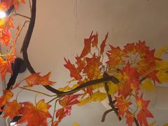 -吴掌柜·藕汤印象(南湖店)