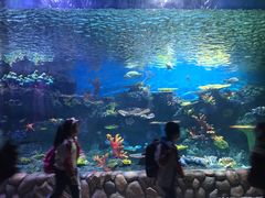 -华夏文旅海洋公园