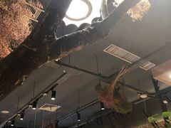 -茶颜悦色(银盆岭万达广场店)