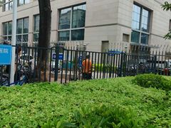 -厦门大学附属中山医院(本部)