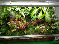 -UCCA Kids 儿童美育