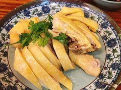 -九斤黄三黄鸡专卖店