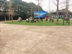 -保利石象湖景区