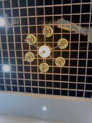 -蕾特恩专业祛痘国际连锁