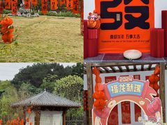 -广西壮族自治区药用植物园