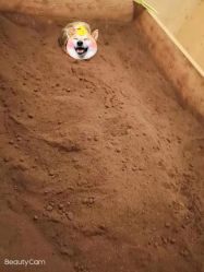 -茉秀必瘦站