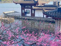 -杭州植物园
