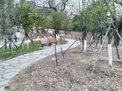 -万泉公园