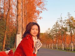 -昆山城市生态森林公园