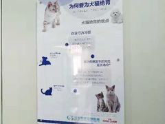 -北京观赏动物医院·24小时大型综合·猫专科·异宠专科