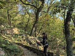 -宝岩生态观光园