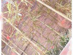 -重庆解放碑威斯汀酒店