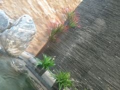 -汤里来温泉