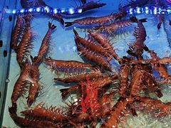 -阿伟海鲜楼·福建菜(延寿店)