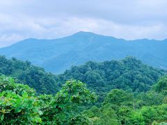 -青城山