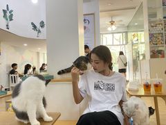 -李小姐の猫咖啡馆(五角场店)