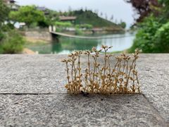 -天地生态农庄