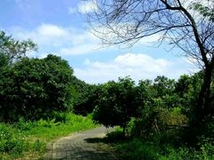 -鹤之洲湿地公园